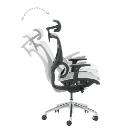 Ергономичен стол DELTA  ⋙ на цена от 972.00лв  - Allegro-bg.com