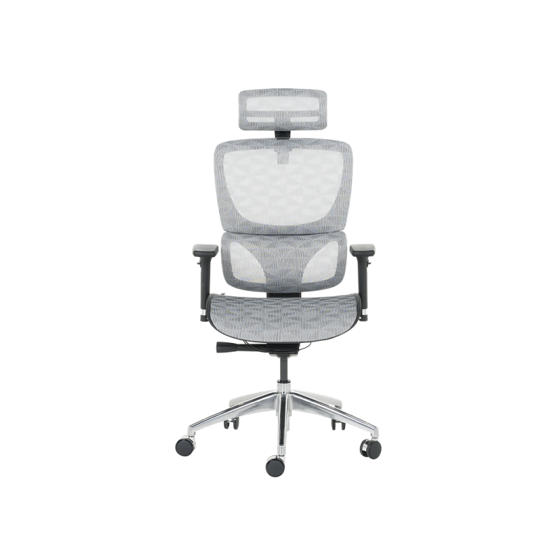 Ергономичен стол DELTA  ⋙ на цена от 972.00лв  - Allegro-bg.com