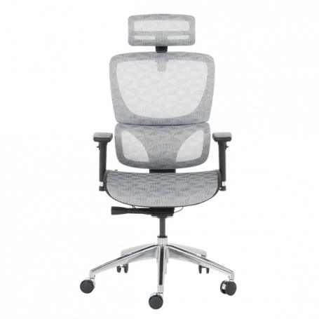 Ергономичен стол DELTA  ⋙ на цена от 972.00лв  - Allegro-bg.com