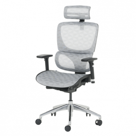 Ергономичен стол DELTA  ⋙ на цена от 972.00лв  - Allegro-bg.com