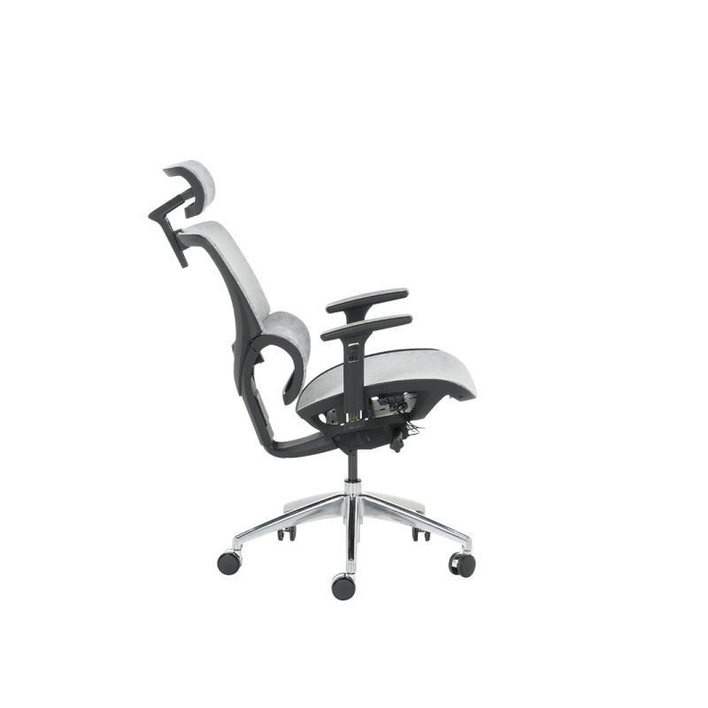 Ергономичен стол DELTA  ⋙ на цена от 972.00лв  - Allegro-bg.com