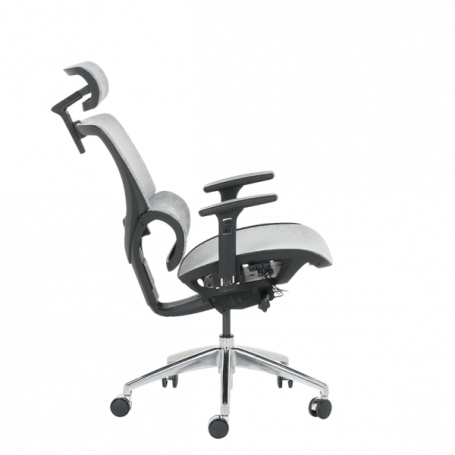 Ергономичен стол DELTA  ⋙ на цена от 972.00лв  - Allegro-bg.com