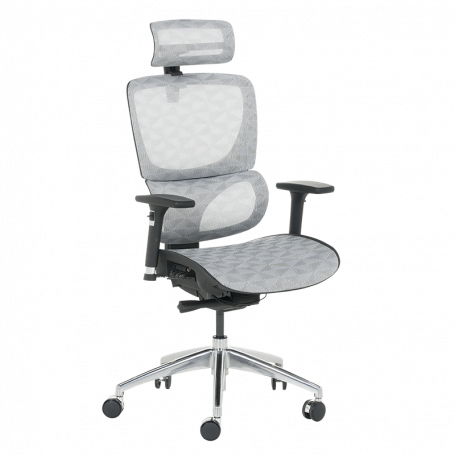 Ергономичен стол DELTA  ⋙ на цена от 972.00лв  - Allegro-bg.com