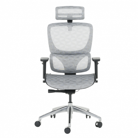 Ергономичен стол DELTA  ⋙ на цена от 972.00лв  - Allegro-bg.com