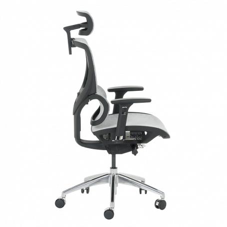 Ергономичен стол DELTA  ⋙ на цена от 972.00лв  - Allegro-bg.com