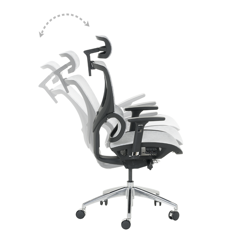 Ергономичен стол DELTA  ⋙ на цена от 972.00лв  - Allegro-bg.com