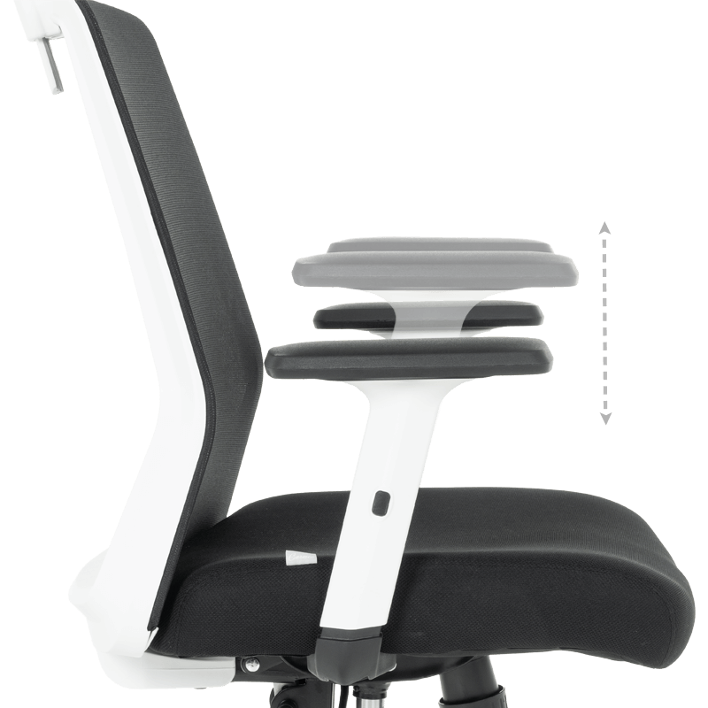 Президентски офис стол  ⋙ на цена от 312.00лв  - Allegro-bg.com