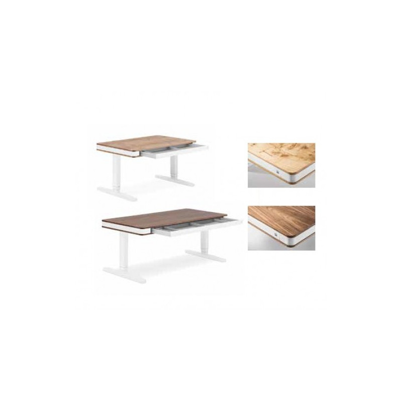 Бюро Moll unique T7-569