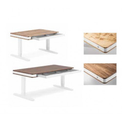 Бюро Moll unique T7+PM-71 2