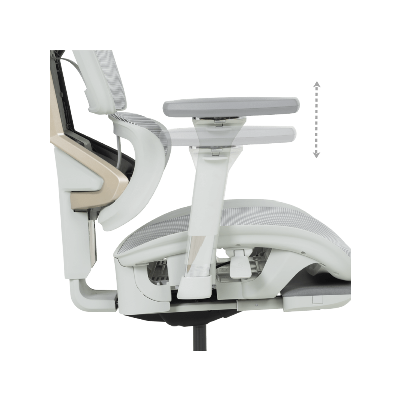 Ергономичен стол DIJON  ⋙ на цена от 798.00лв  - Allegro-bg.com