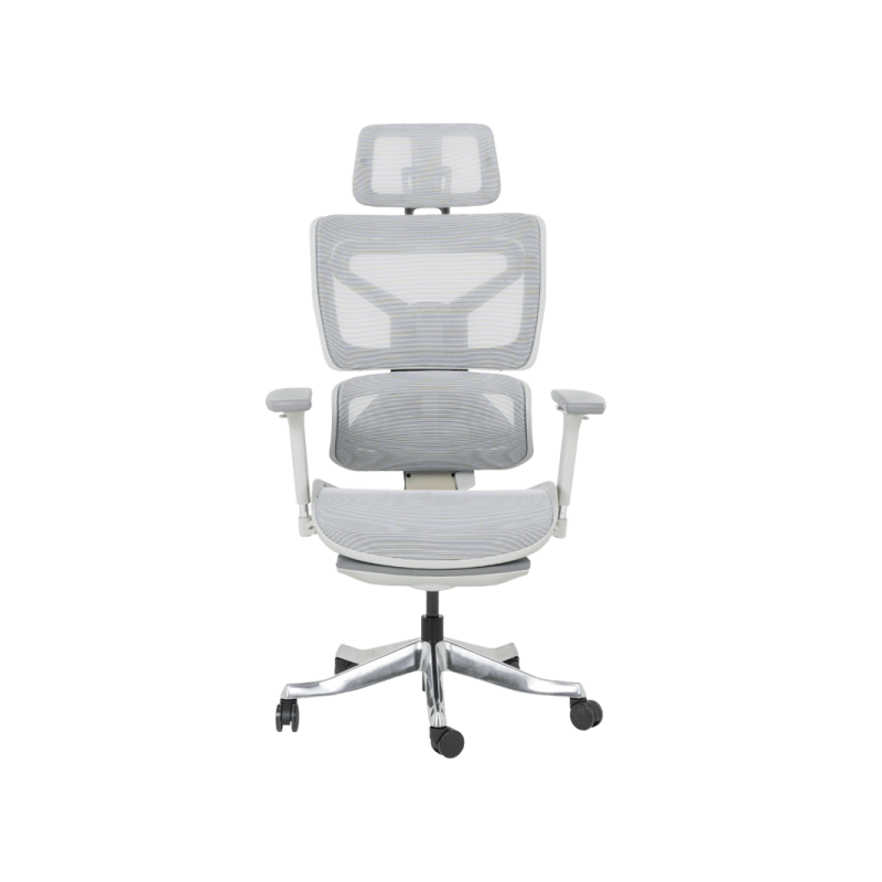 Ергономичен стол DIJON  ⋙ на цена от 798.00лв  - Allegro-bg.com