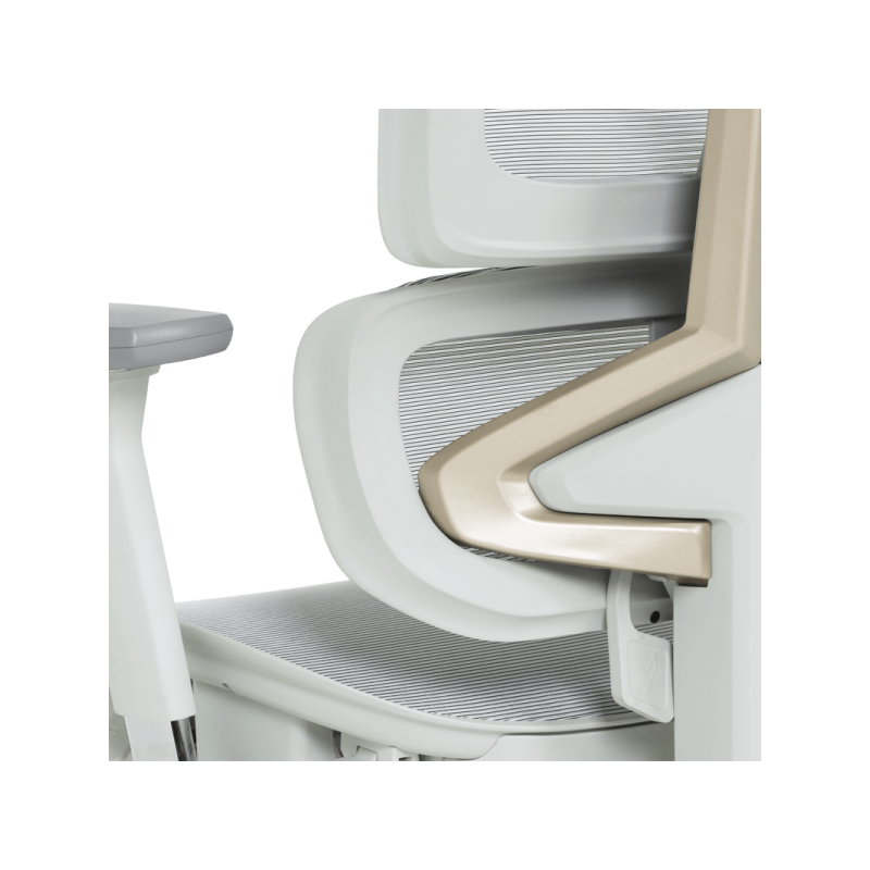 Ергономичен стол DIJON  ⋙ на цена от 798.00лв  - Allegro-bg.com