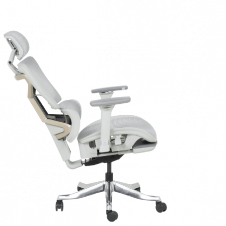 Ергономичен стол DIJON  ⋙ на цена от 798.00лв  - Allegro-bg.com