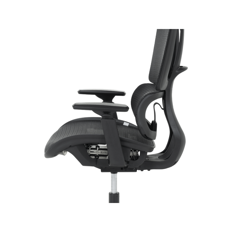 Ергономичен стол BREST  ⋙ на цена от 384.00лв  - Allegro-bg.com