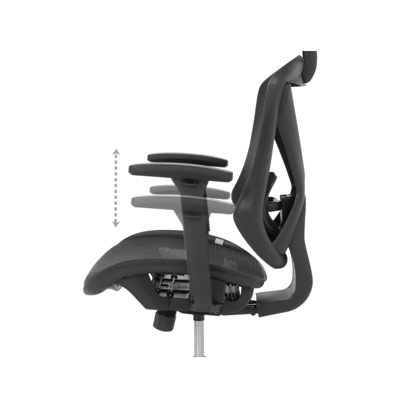 Ергономи ⋙ на цена от 492.00лв  - Allegro-bg.com