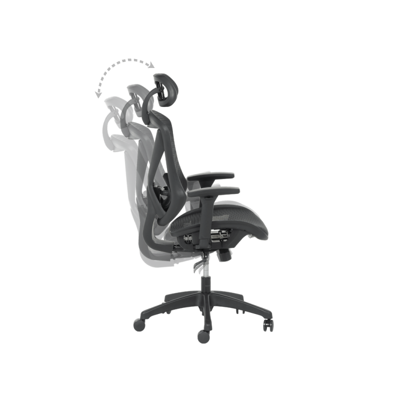 Ергономи ⋙ на цена от 492.00лв  - Allegro-bg.com