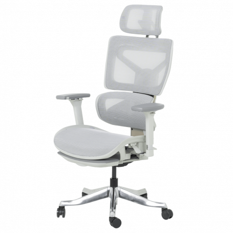 Ергономичен стол DIJON  ⋙ на цена от 798.00лв  - Allegro-bg.com