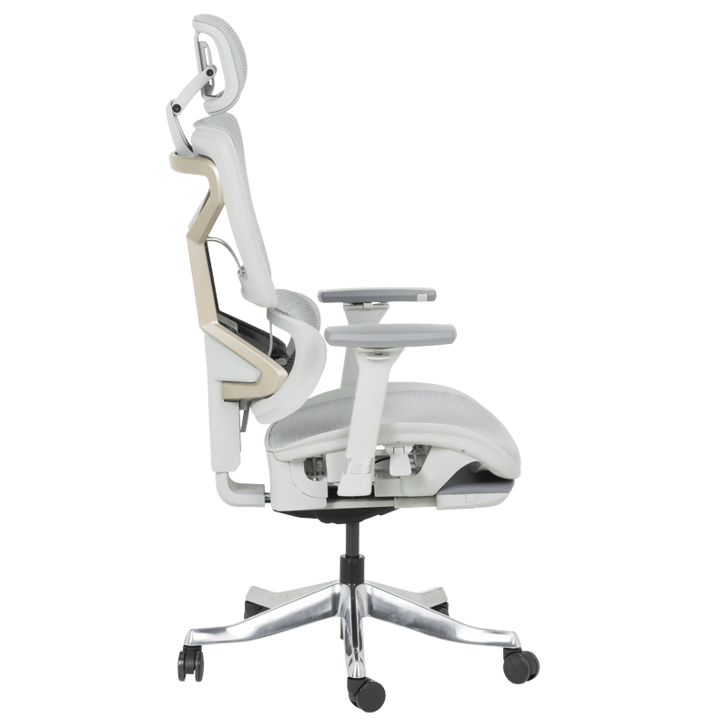 Ергономичен стол DIJON  ⋙ на цена от 798.00лв  - Allegro-bg.com