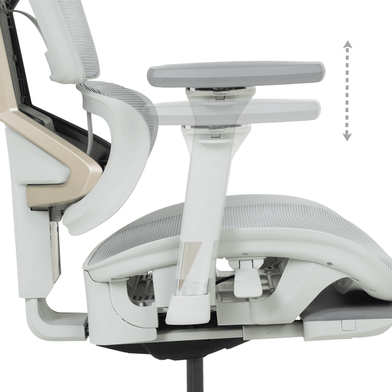 Ергономичен стол DIJON  ⋙ на цена от 798.00лв  - Allegro-bg.com