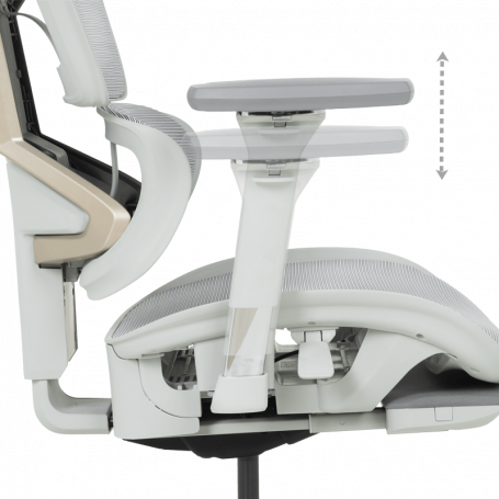 Ергономичен стол DIJON  ⋙ на цена от 798.00лв  - Allegro-bg.com