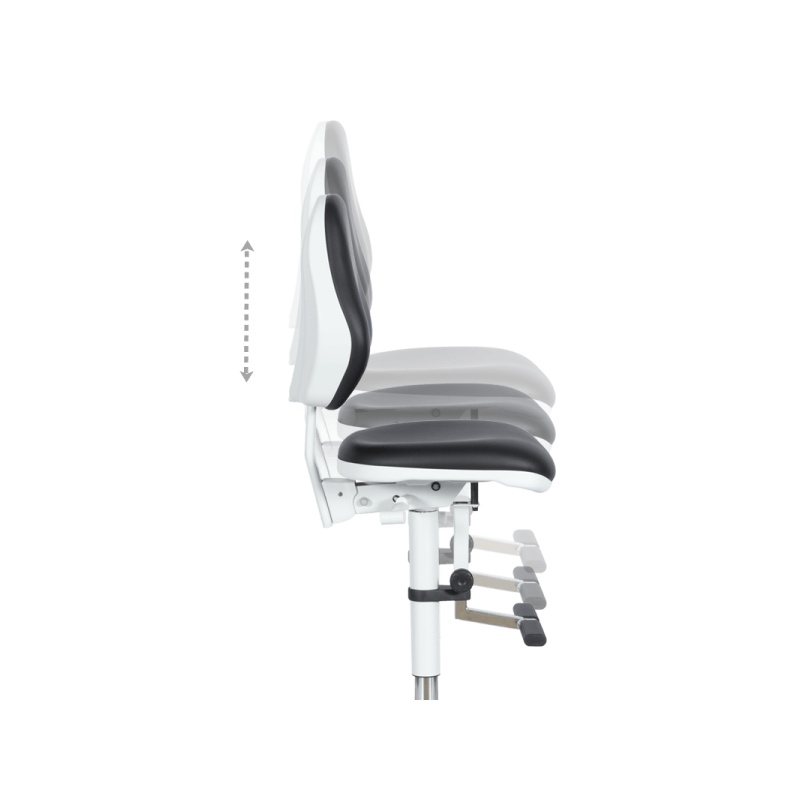 Лабораторен ергономичен ⋙ на цена от 1290.00лв  - Allegro-bg.com