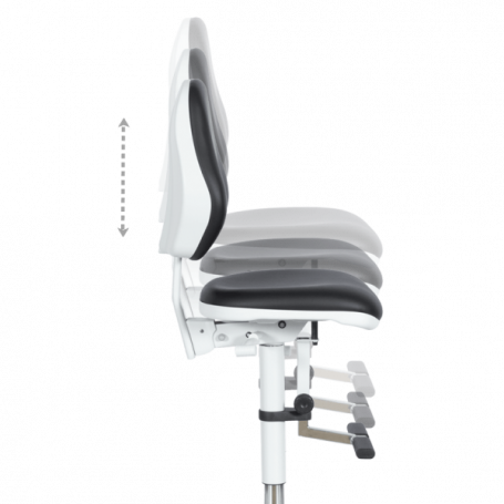 Лабораторен ергономичен ⋙ на цена от 1290.00лв  - Allegro-bg.com