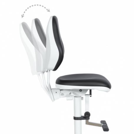 Лабораторен ергономичен ⋙ на цена от 1290.00лв  - Allegro-bg.com