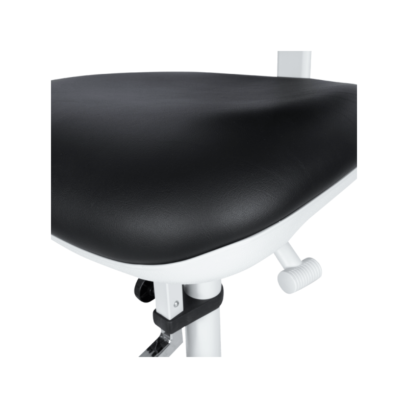 Лабораторен ергономичен ⋙ на цена от 1290.00лв  - Allegro-bg.com