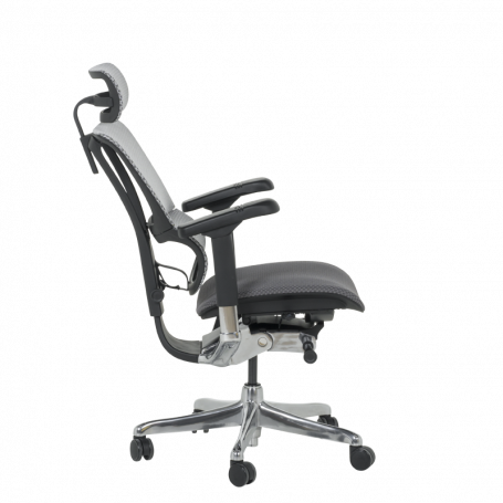 Ергономичен стол  ⋙ на цена от 1188.00лв  - Allegro-bg.com