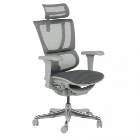 Ергономичен стол  ⋙ на цена от 1098.00лв  - Allegro-bg.com