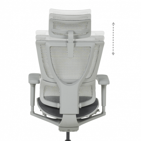 Ергономичен стол  ⋙ на цена от 1098.00лв  - Allegro-bg.com