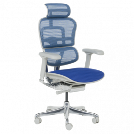 Ергономичен стол  ⋙ на цена от 1389.60лв  - Allegro-bg.com