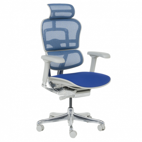 Ергономичен стол  ⋙ на цена от 1389.60лв  - Allegro-bg.com