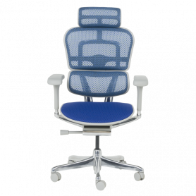 Ергономичен стол  ⋙ на цена от 1389.60лв  - Allegro-bg.com 2