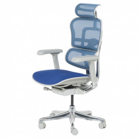 Ергономичен стол  ⋙ на цена от 1389.60лв  - Allegro-bg.com