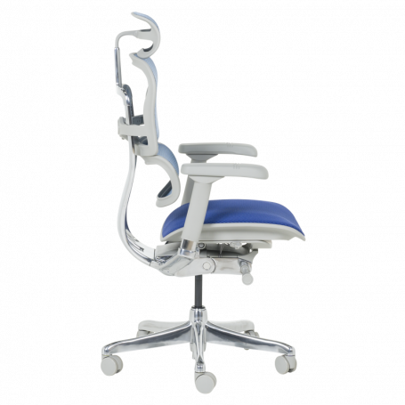 Ергономичен стол  ⋙ на цена от 1389.60лв  - Allegro-bg.com