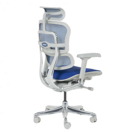 Ергономичен стол  ⋙ на цена от 1389.60лв  - Allegro-bg.com