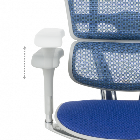 Ергономичен стол  ⋙ на цена от 1389.60лв  - Allegro-bg.com