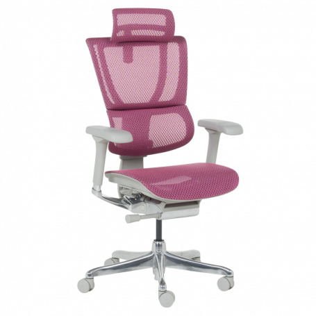 Ергономичен стол  ⋙ на цена от 1188.00лв  - Allegro-bg.com