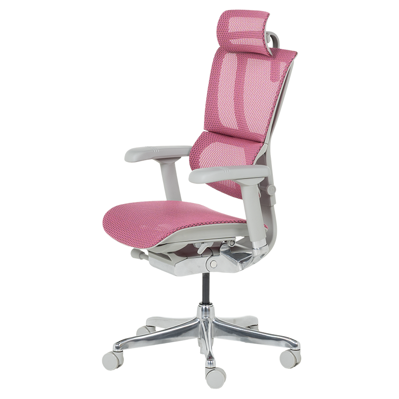 Ергономичен стол  ⋙ на цена от 1188.00лв  - Allegro-bg.com