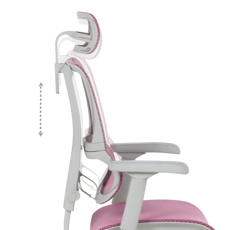 Ергономичен стол  ⋙ на цена от 1188.00лв  - Allegro-bg.com