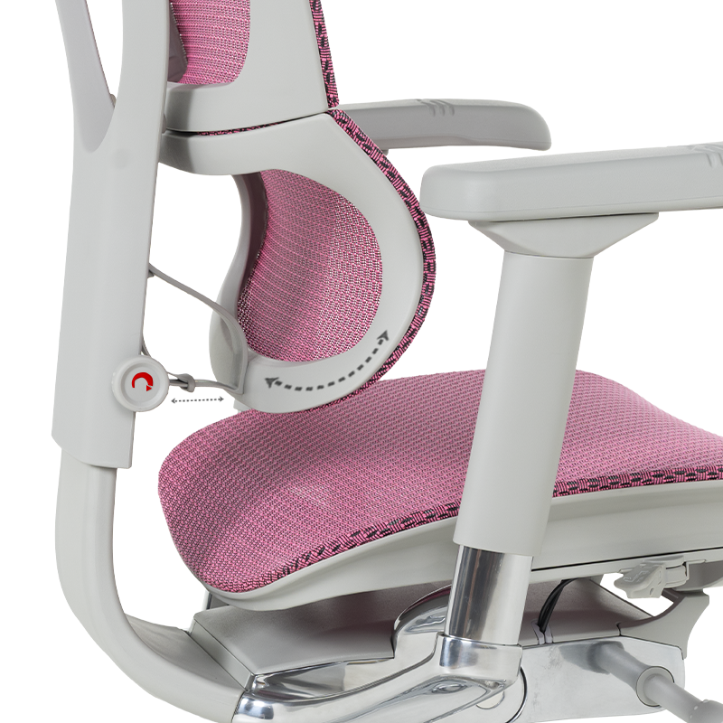 Ергономичен стол  ⋙ на цена от 1188.00лв  - Allegro-bg.com