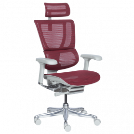 Ергономичен стол  ⋙ на цена от 1188.00лв  - Allegro-bg.com