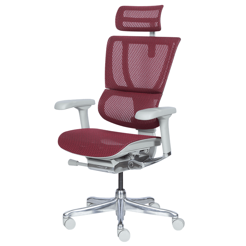 Ергономичен стол  ⋙ на цена от 1188.00лв  - Allegro-bg.com