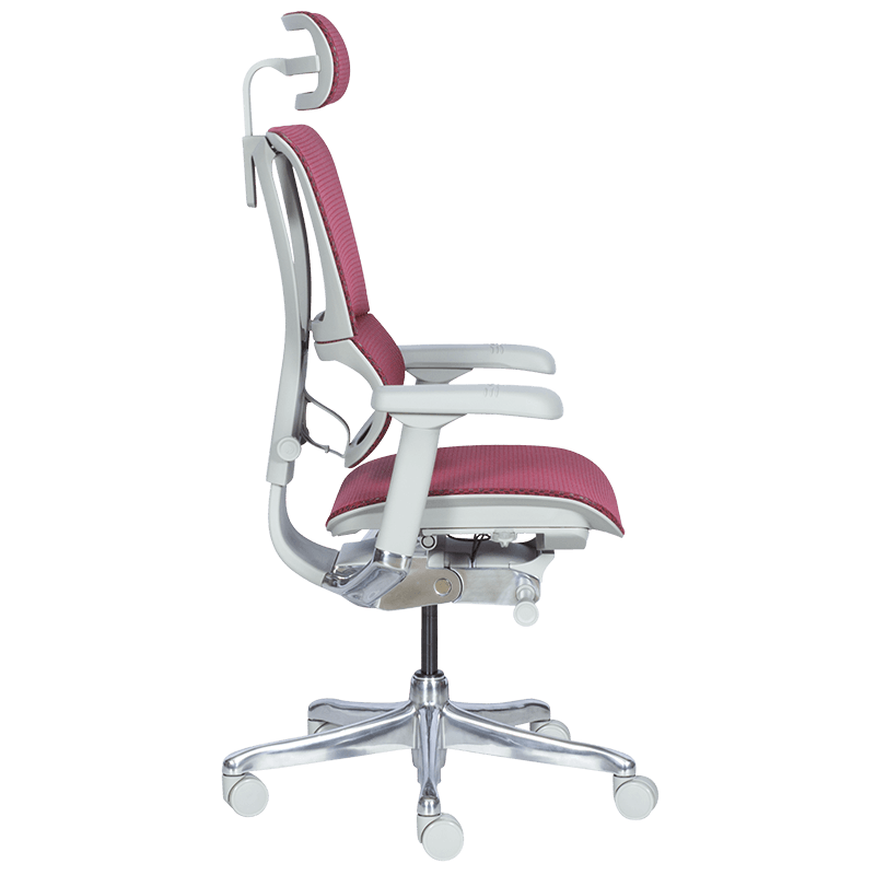 Ергономичен стол  ⋙ на цена от 1188.00лв  - Allegro-bg.com