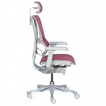 Ергономичен стол  ⋙ на цена от 1188.00лв  - Allegro-bg.com