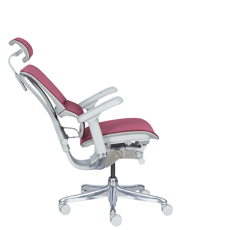 Ергономичен стол  ⋙ на цена от 1188.00лв  - Allegro-bg.com