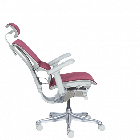 Ергономичен стол  ⋙ на цена от 1188.00лв  - Allegro-bg.com