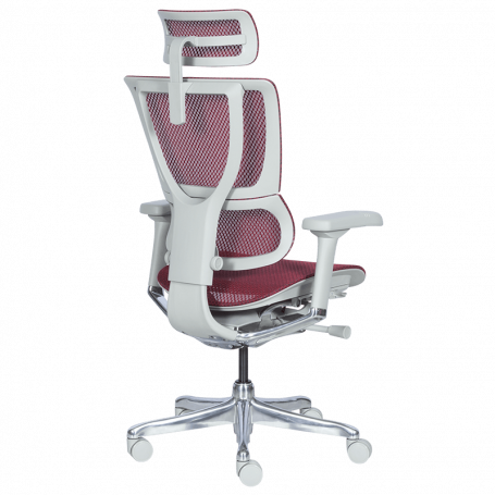 Ергономичен стол  ⋙ на цена от 1188.00лв  - Allegro-bg.com