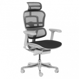 Ергономичен стол  ⋙ на цена от 1389.60лв  - Allegro-bg.com